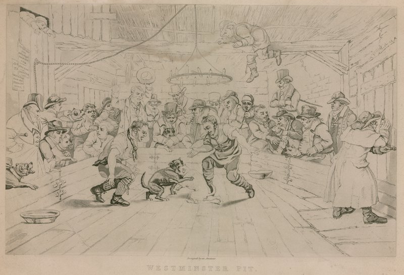 Westminster Pit av English School