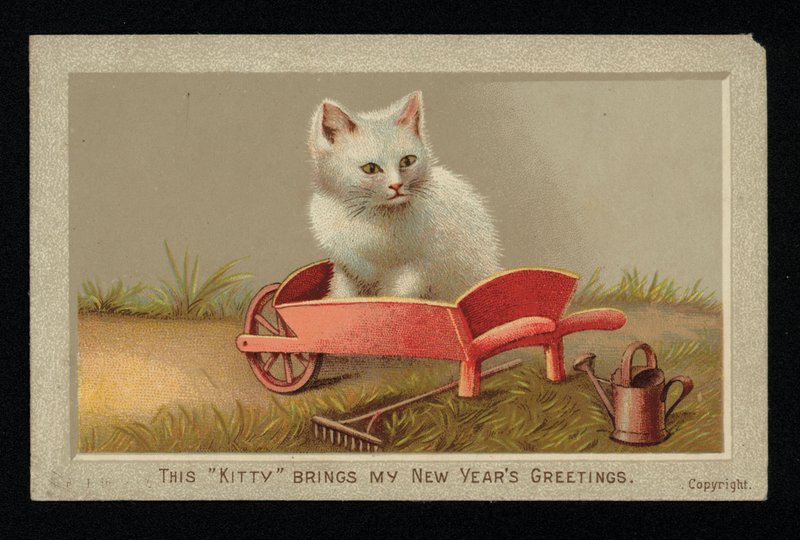 Hvit katt i trillebår, nyttårs gratulasjonskort. (chromolitho) av English School