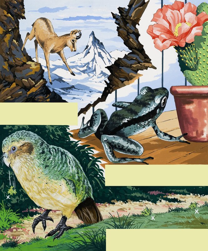 Wildlife montasje av English School