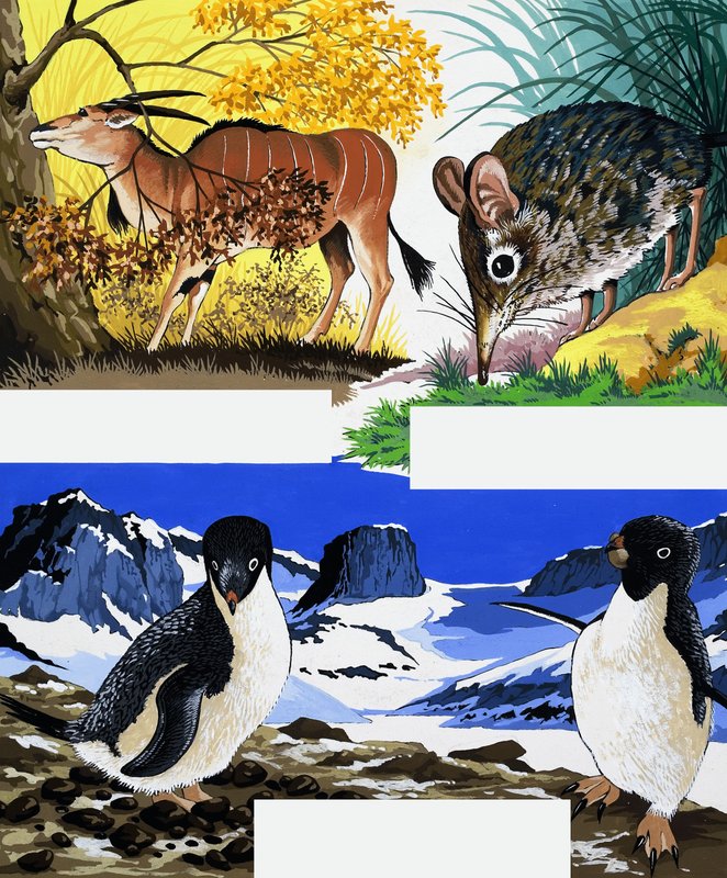 Wildlife montasje av English School