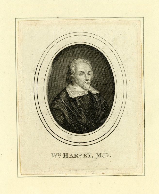 William Harvey av English School