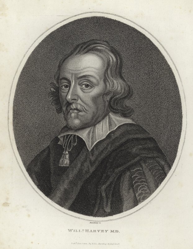 William Harvey av English School