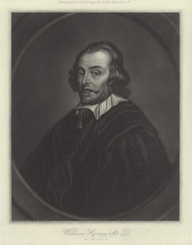 William Harvey, engelsk lege av English School