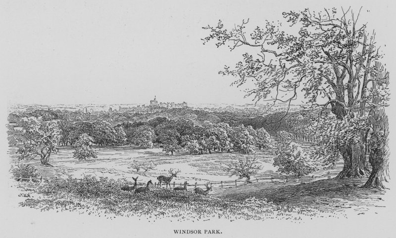 Windsor Park (gravering) av English School
