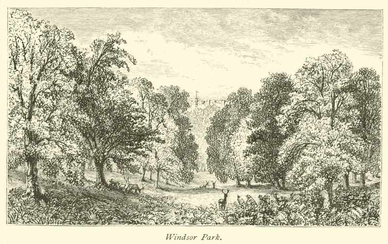 Windsor Park av English School