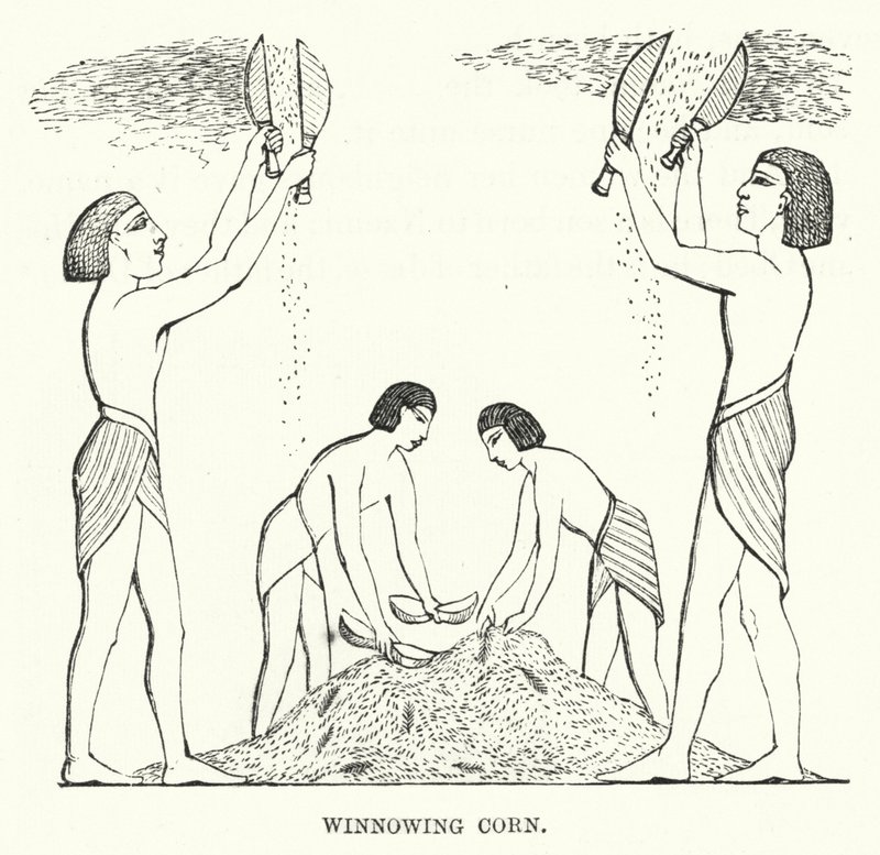 Winnowing Corn (gravering) av English School