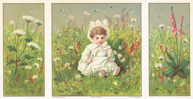 Ungt barn sitter i blomstereng, julekort av English School