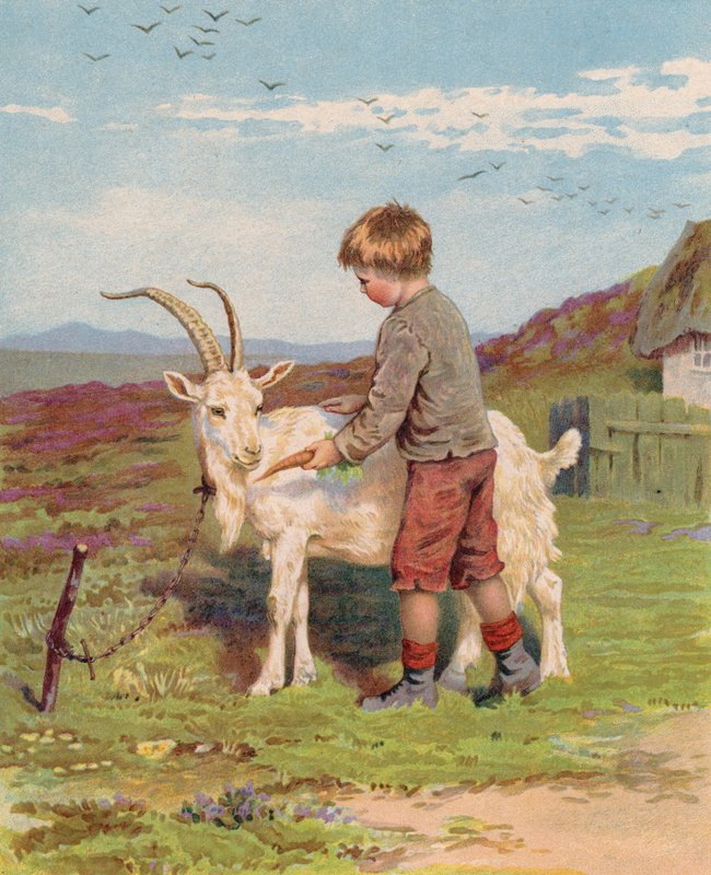 Ung gutt mater en gulrot til en geit på en gård (chromolitho) av English School