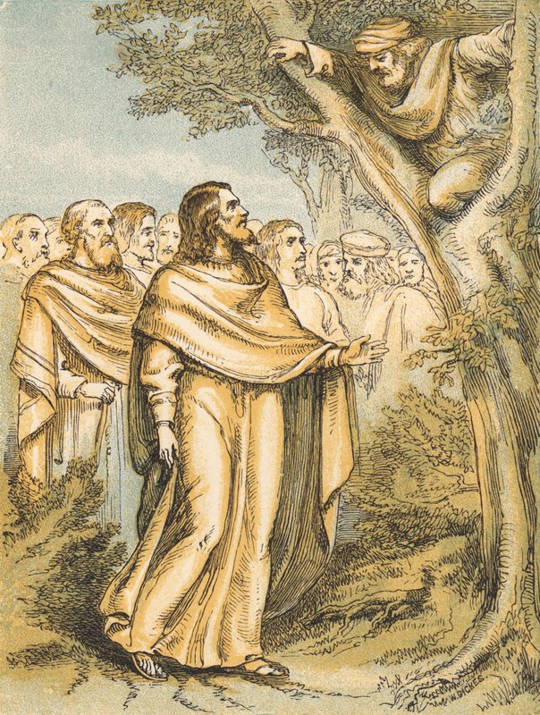 Zacchaeus (farget gravering) av English School