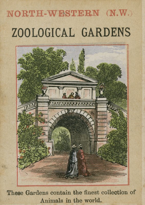 Zoologiske hager av English School