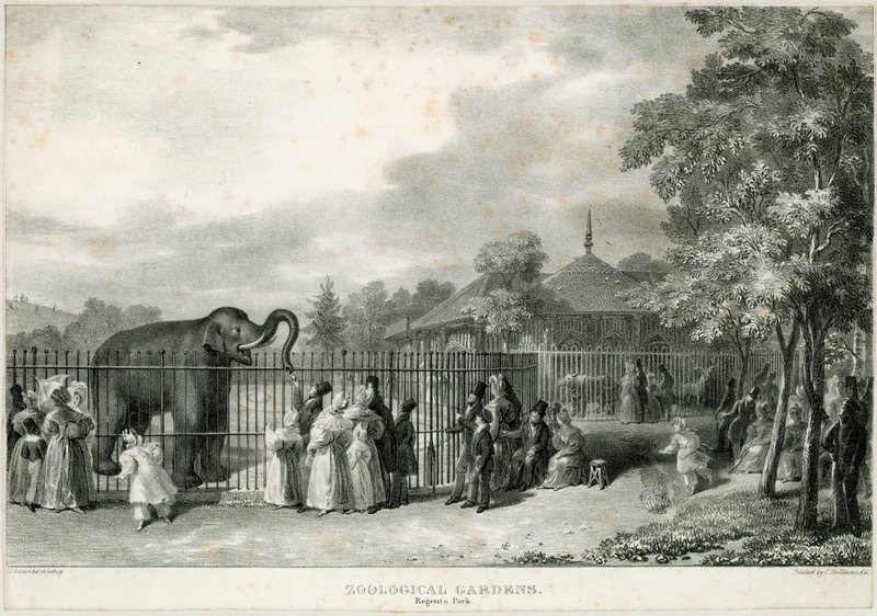 Zoologiske hager, Regents Park av English School