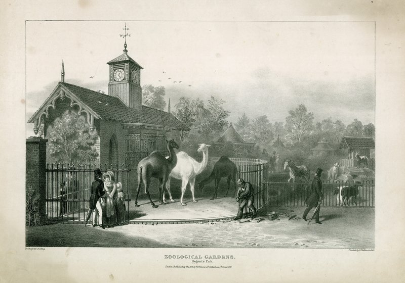 Zoologiske hager, Regents Park av English School