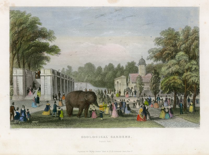 Zoologiske hager, Regents Park av English School