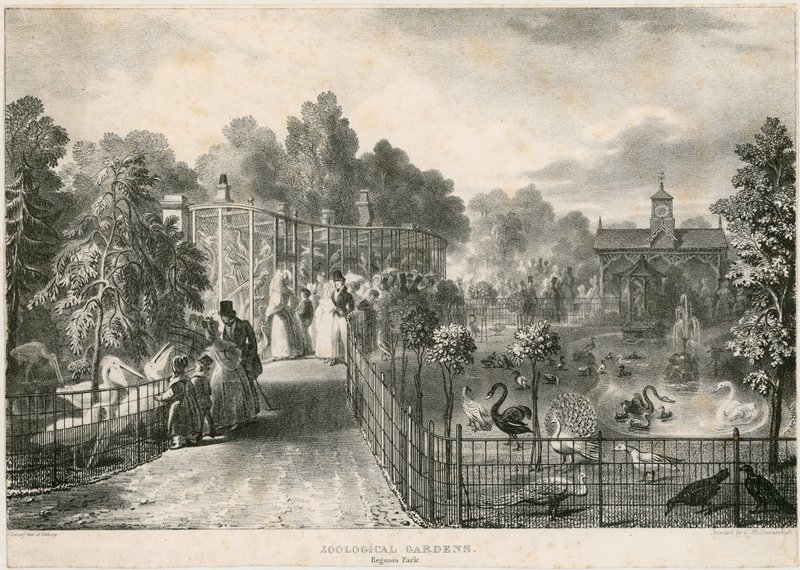 Zoologiske hager, Regents Park av English School