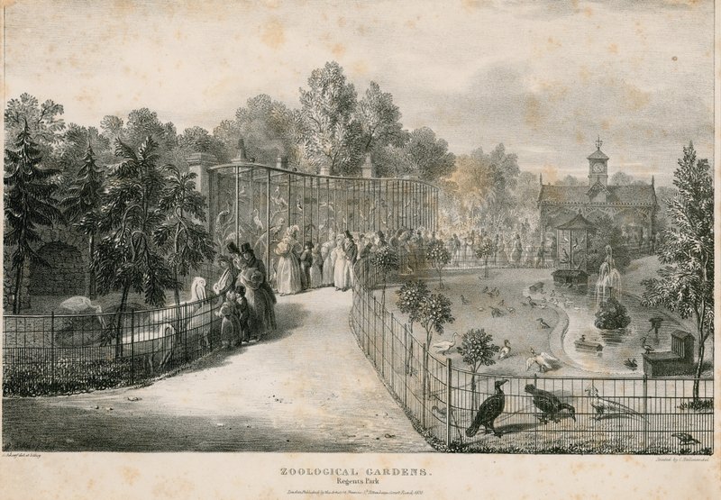 Zoologiske hager, Regents Park av English School