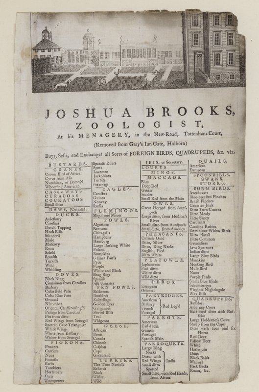Zoolog, Joshua Brooks, handelskort av English School