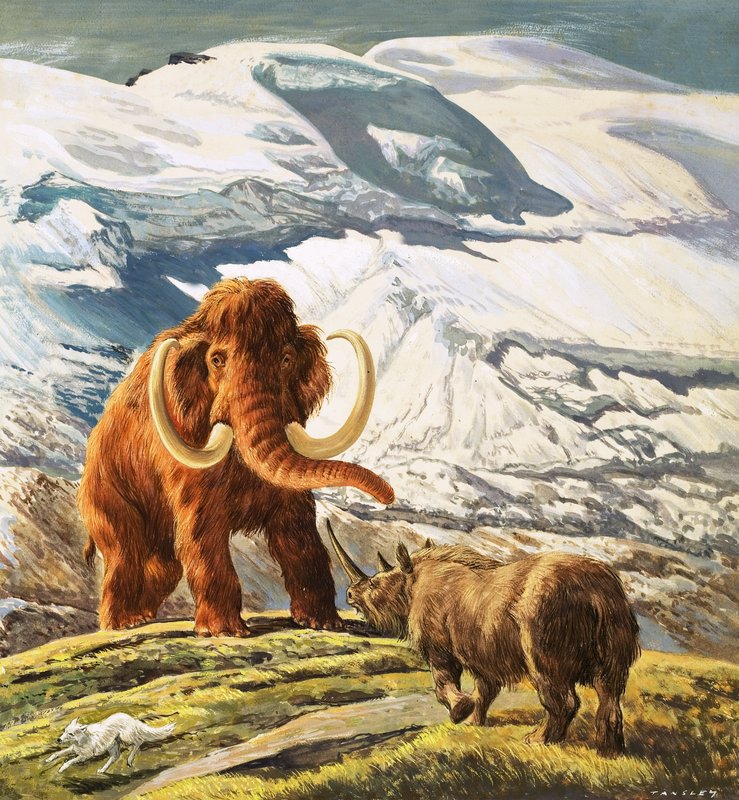 Mammut møter neshorn (gouache på papir) av Eric Tansley