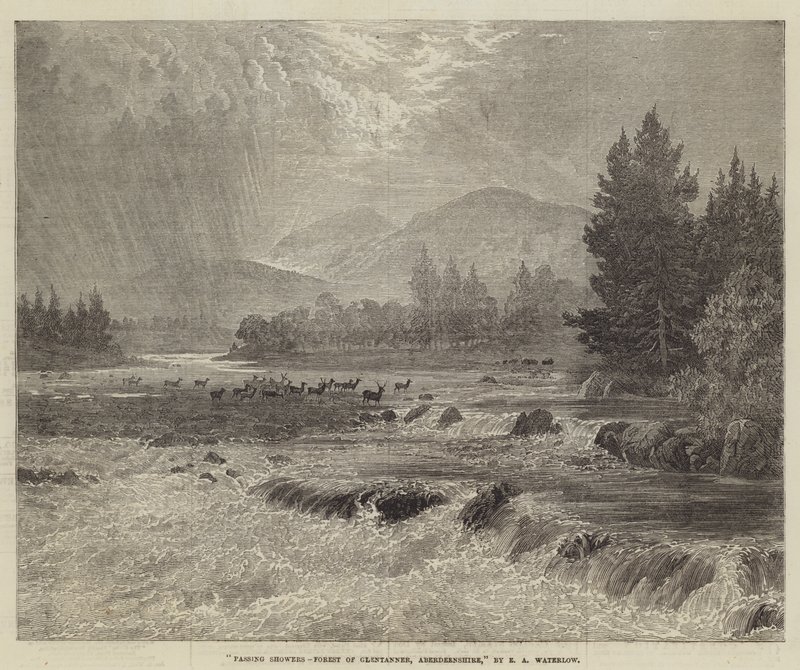 Passerende byger, Forest of Glentanner, Aberdeenshire av Ernest Albert Waterlow