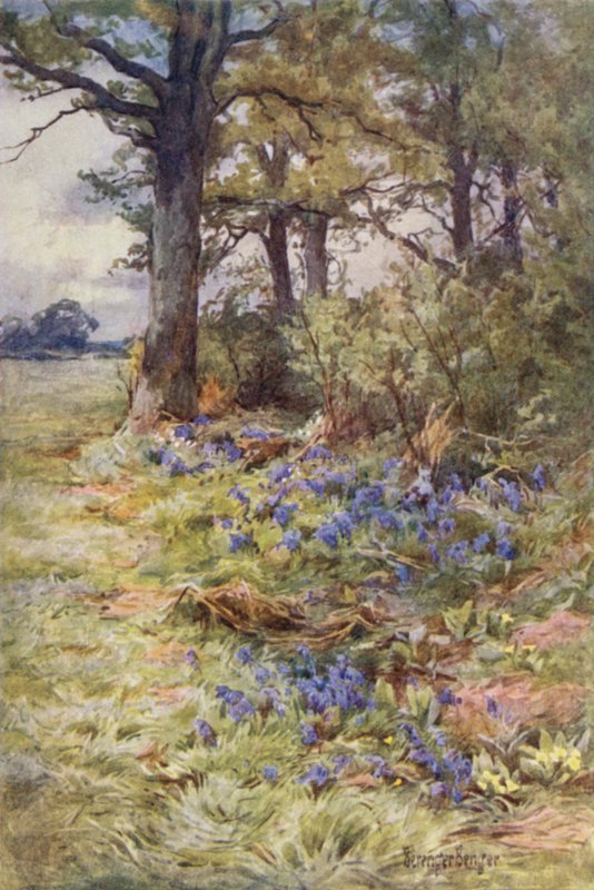 Frynser av duftende skoger av Ernest Benger or Berenger