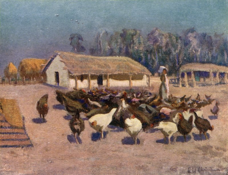 En sommerdag på en hønsegård av Ernest William Christmas