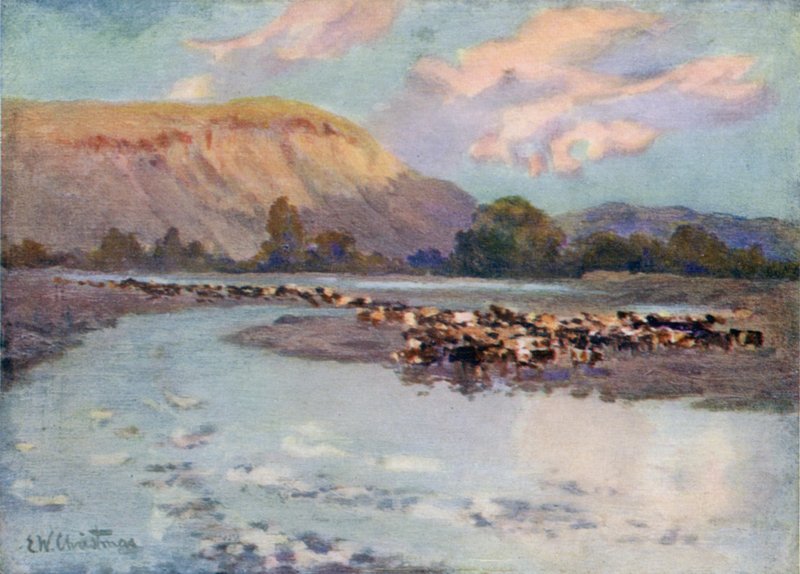 Storfe vanning av Ernest William Christmas