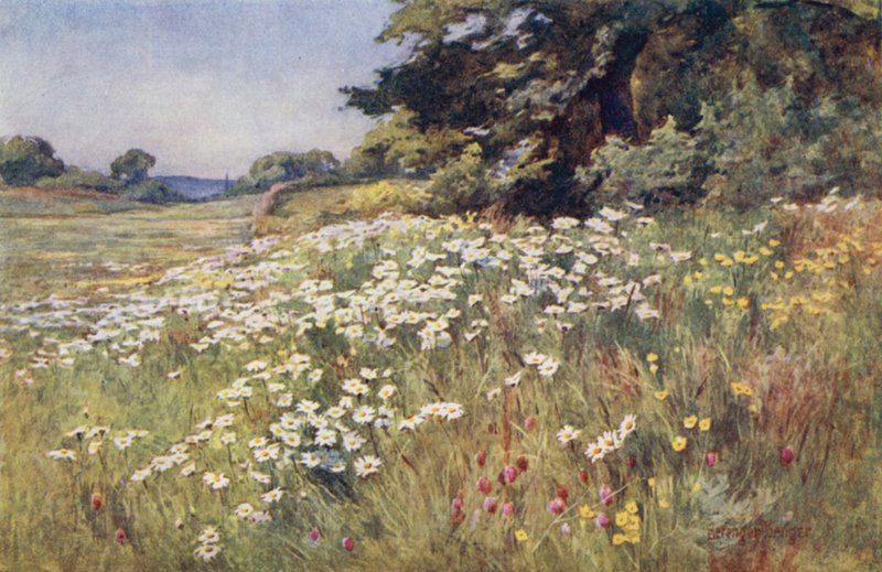 Solskinn i Meadowland av Ernest Benger or Berenger