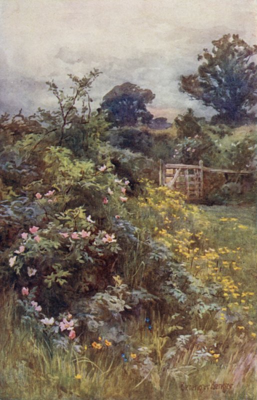 The Reign of the Rose av Ernest Benger or Berenger