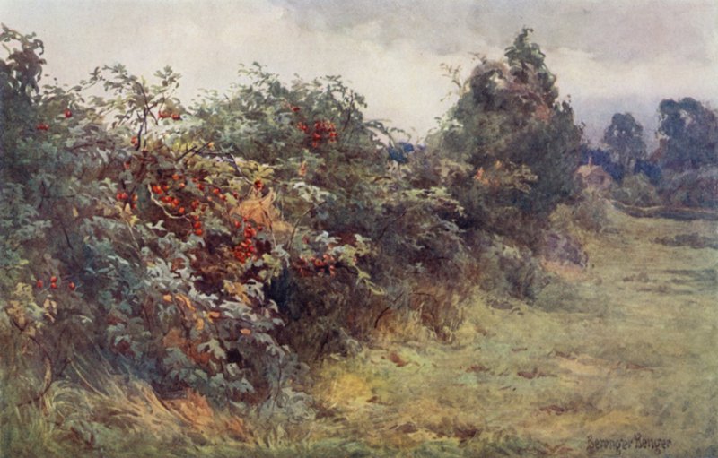 Åpenbaringen av modenhet av Ernest Benger or Berenger