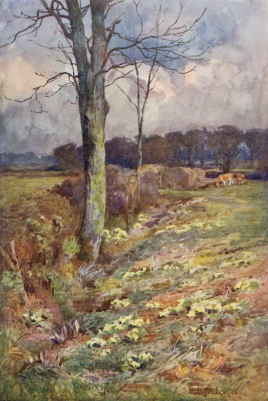 The Widening Vista av Ernest Benger or Berenger