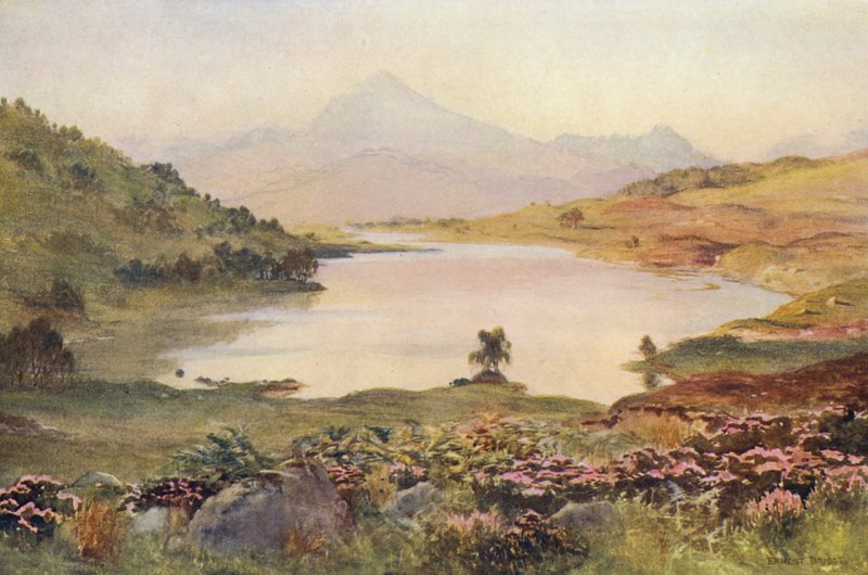  av Ernest Edward Briggs