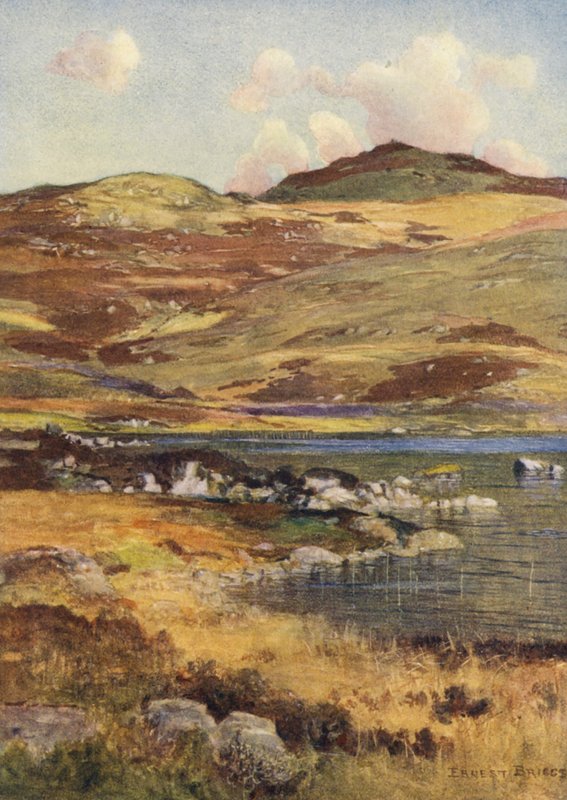  av Ernest Edward Briggs