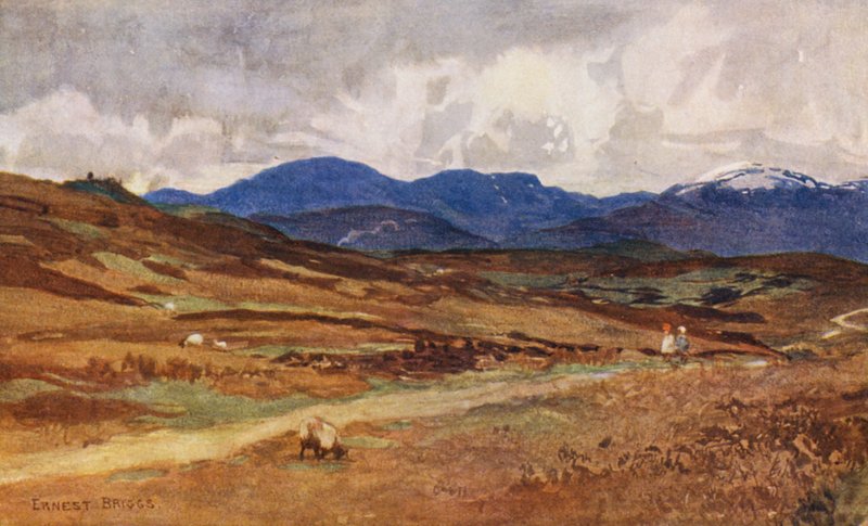 av Ernest Edward Briggs