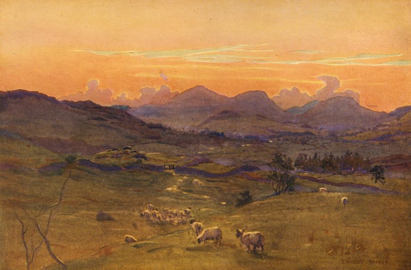  av Ernest Edward Briggs