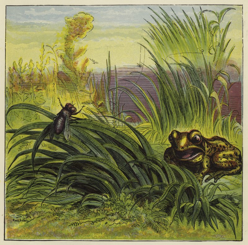 Frosk og flue av Ernest Henry Griset