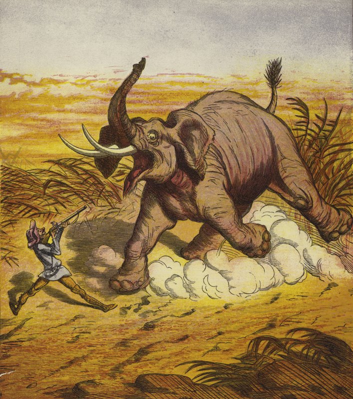 Jim Bold jakter på en elefant av Ernest Henry Griset