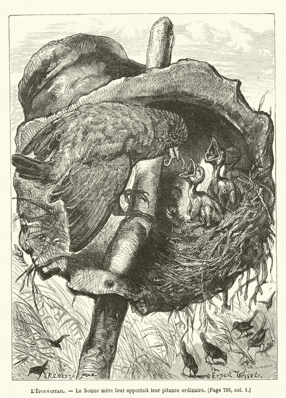 Fugleskremselet, Den gode moren ga dem deres vanlige småpenger av Ernest Henry Griset