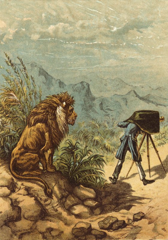 Lovende utsikter, løve observerer fotograf (chromolitho) av Ernest Henry Griset