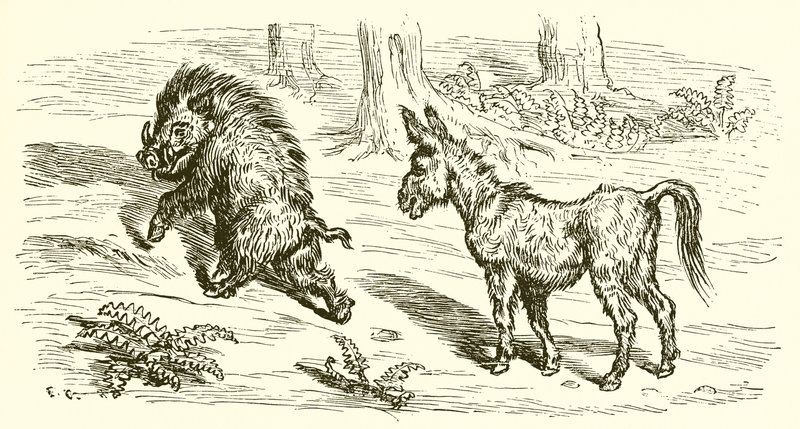 Villsvinet og rumpa av Ernest Henry Griset