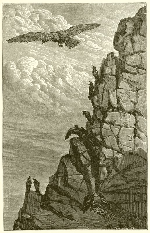 Ørnen og kråken av Ernest Henry Griset