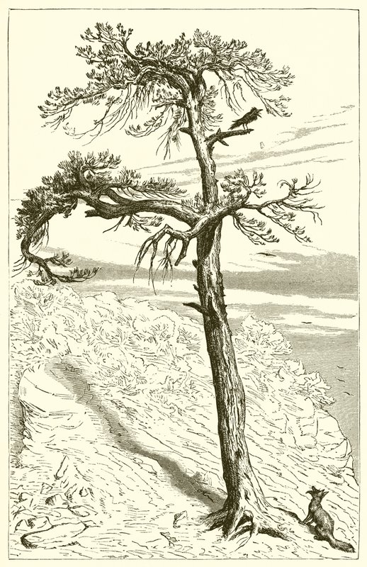 Reven og mannskapet av Ernest Henry Griset