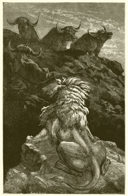 Løven og de fire oksene av Ernest Henry Griset