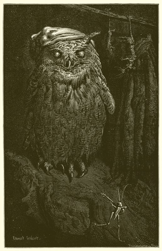 Uglen og gresshoppen av Ernest Henry Griset