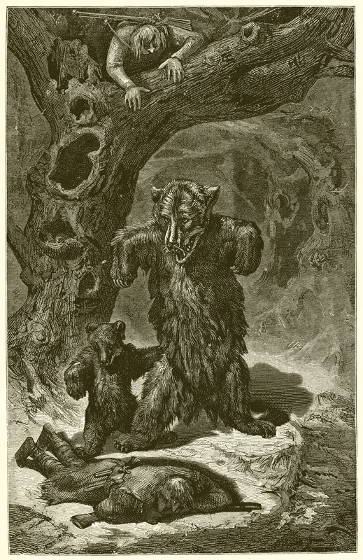De reisende og bjørnen av Ernest Henry Griset