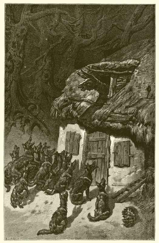 Ulvene og den syke rumpa av Ernest Henry Griset