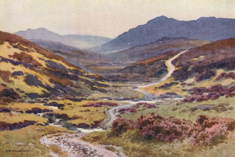 A Moorland Track, The Devil