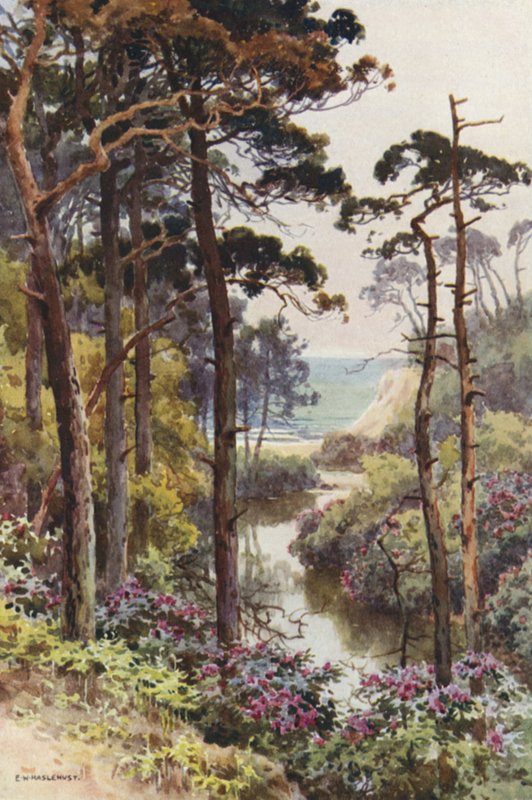 Branksome Chine, Bournemouth (litho-farge) av Ernest William Haslehust