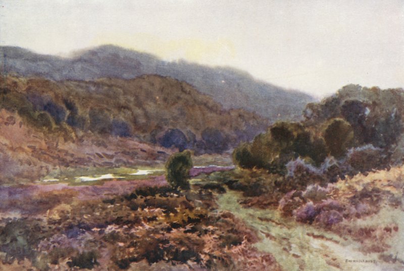 Av Broomy Water (farge litho) av Ernest William Haslehust