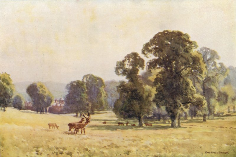 Cobham Park (farge litho) av Ernest William Haslehust