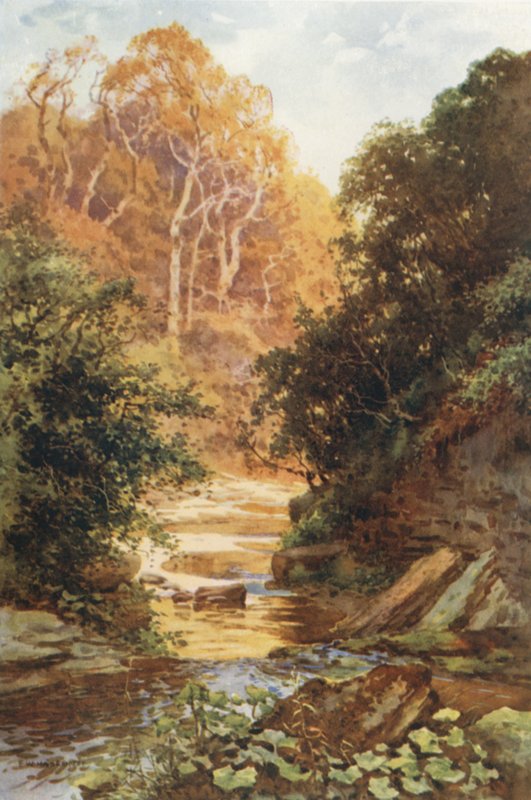 Hayburn Wyke (farge litho) av Ernest William Haslehust