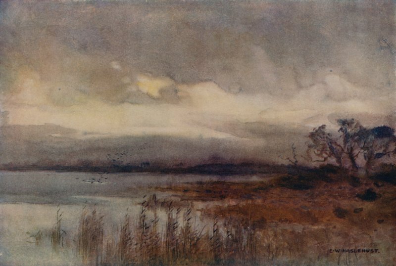 Hickling Broad (farge litho) av Ernest William Haslehust